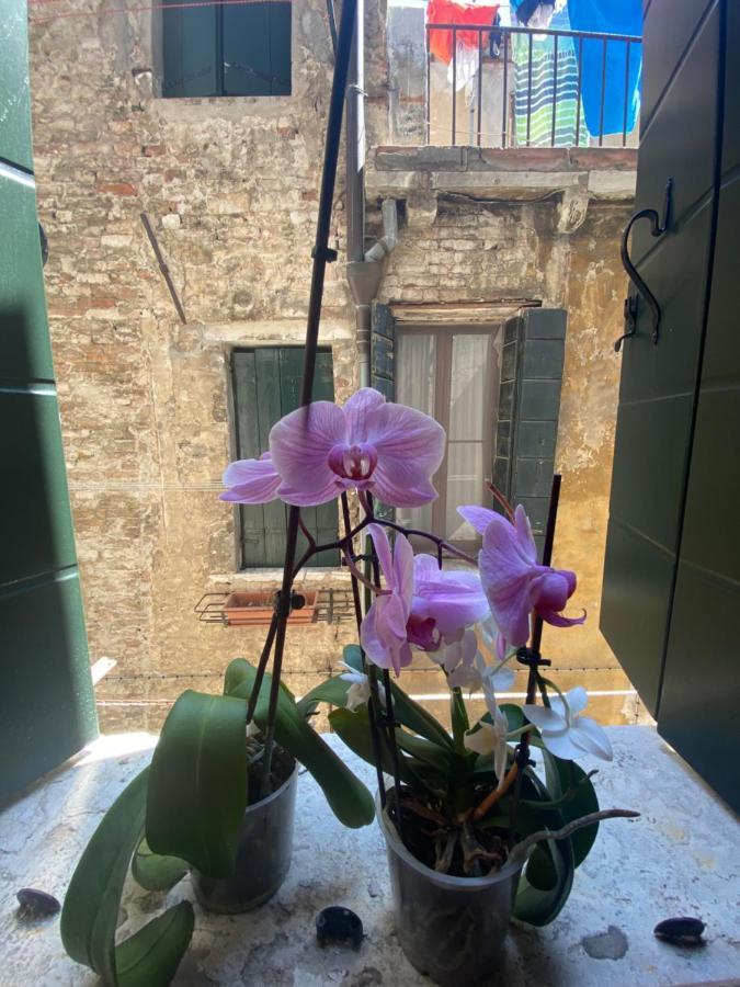 Emma'S House Apartment Venesia Bagian luar foto